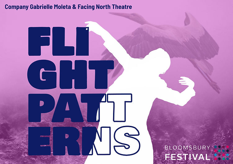 Flight Patterns Facing North Theatre